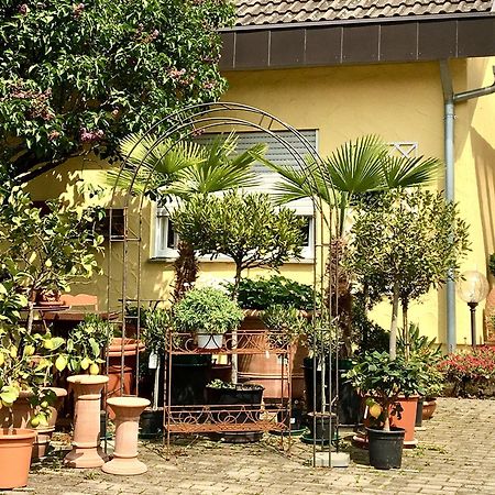 Apartament Casa Limone Ammerbuch Zewnętrze zdjęcie